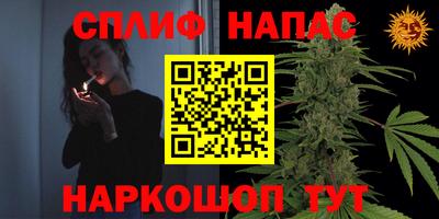 apvp Дубна