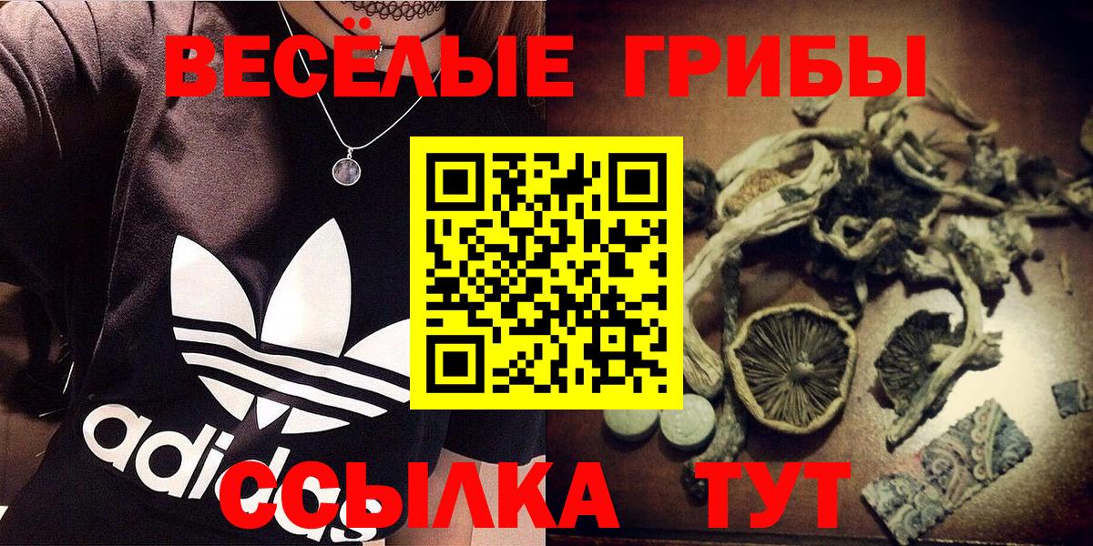 Псилоцибиновые грибы ЛСД Междуреченск