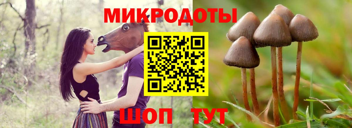 Междуреченск  Псилоцибиновые грибы ЛСД  Псилоцибиновые грибы MAGIC MUSHROOMS  Вход с VPN 